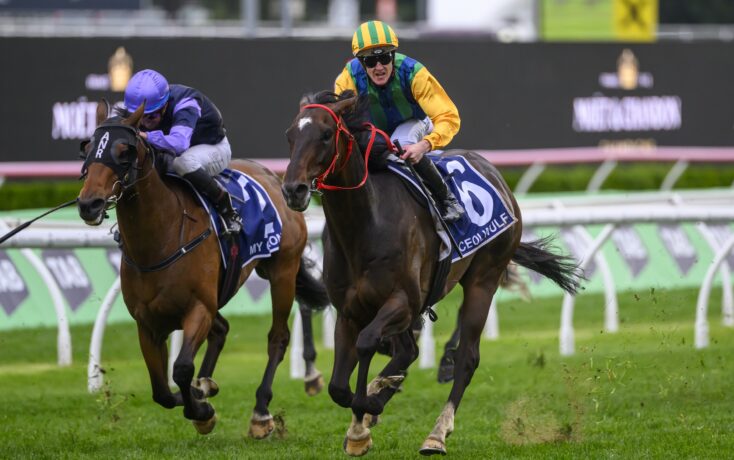 阵沙特的比 阵沙特的比